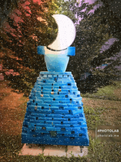 ilvestito della luna sotto la neve