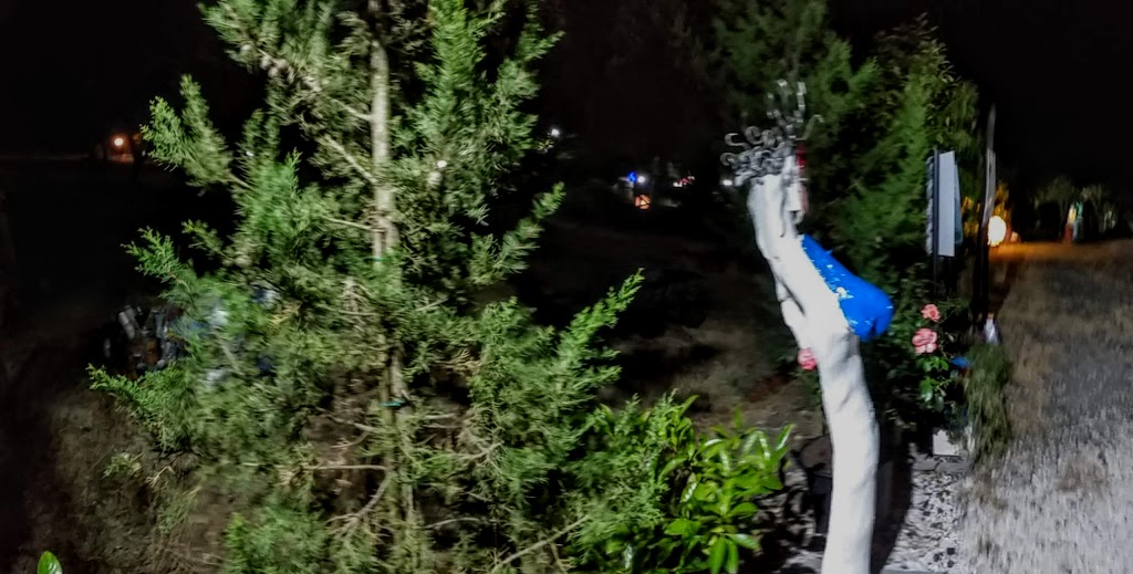 parco di notte4
