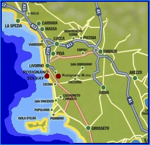 piantina1