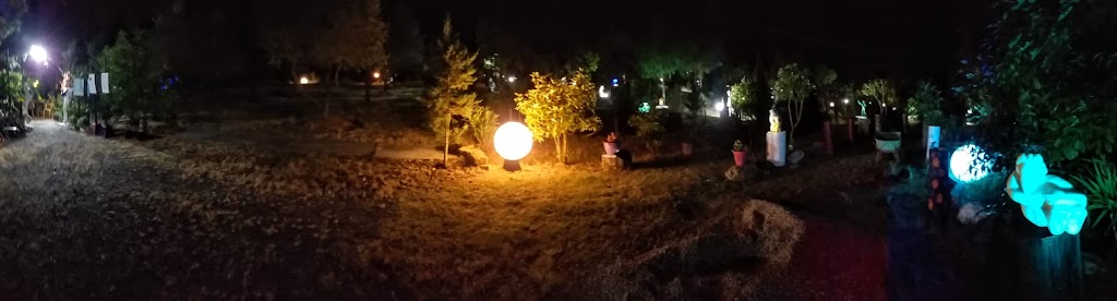il parco di notte5